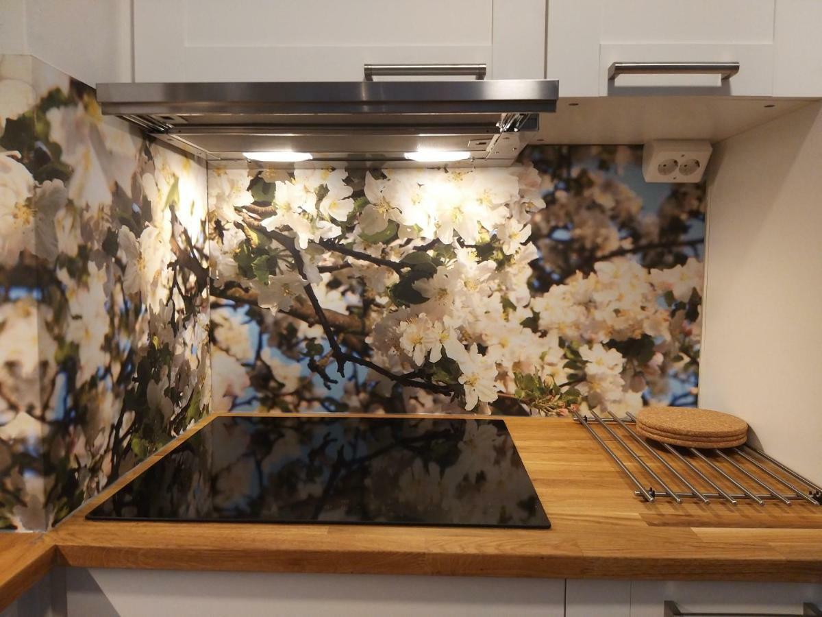 Studiohuoneisto Lohjan Keskusta 2 Esterno foto