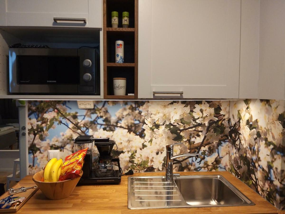 Studiohuoneisto Lohjan Keskusta 2 Esterno foto